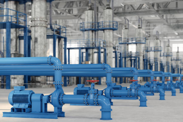 Best Sewer Line Repair  in Sesser, IL