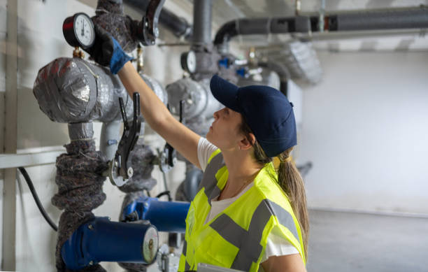 Best Same-Day Plumbing Service  in Sesser, IL