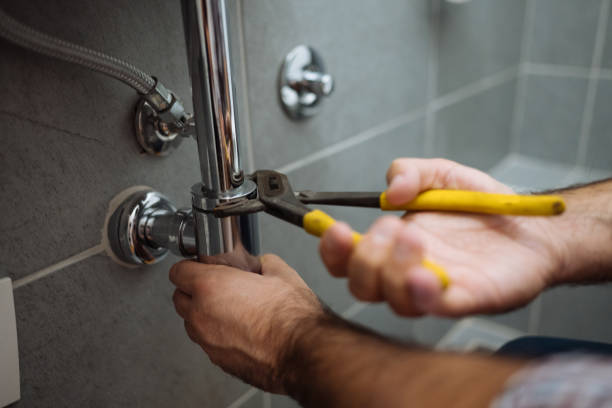 Best Plumbing Services Near Me  in Sesser, IL