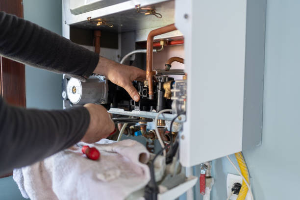 Best Clogged Drain Plumber  in Sesser, IL
