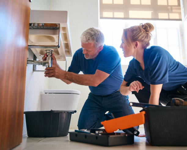 Best Same-Day Plumbing Service  in Sesser, IL